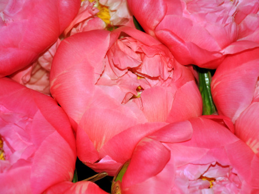 428941 (a): :1600x1200